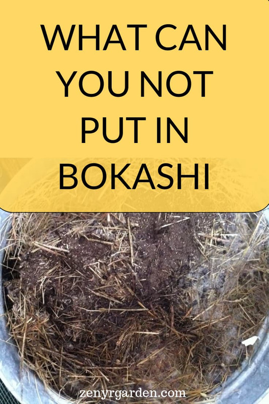 what-can-you-not-put-in-bokashi-pin.jpg