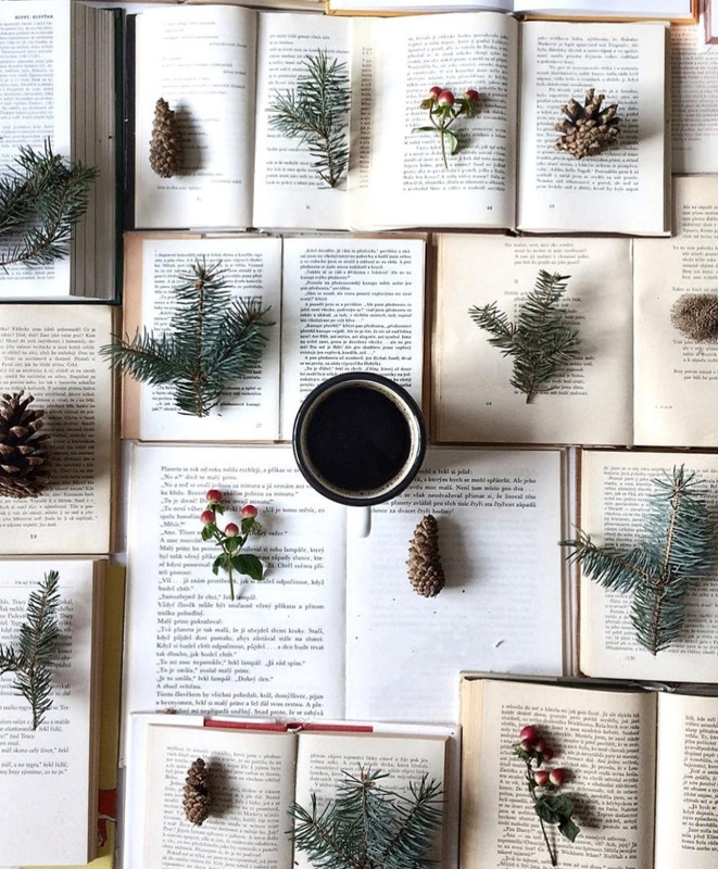 Screenshot_20231210_180140_Instagram