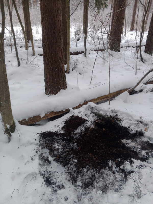 IMG 20260121 120246 666