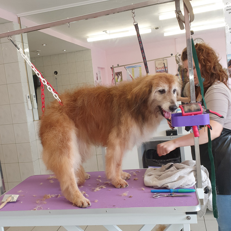 [Image: 20211006-133431.jpg]