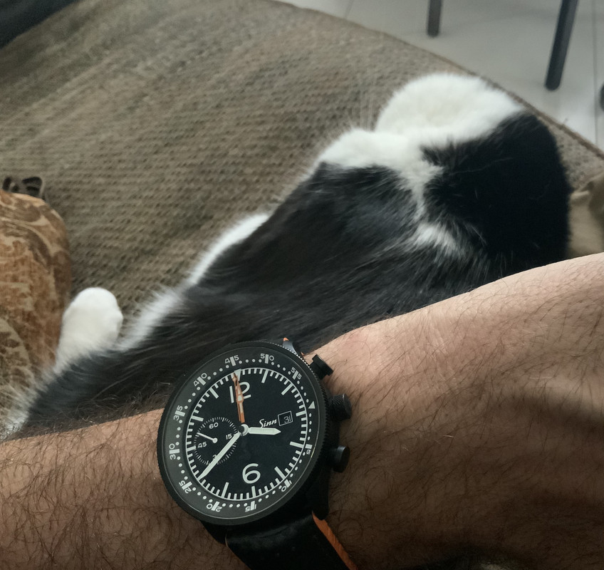 C150B807-E6D8-4E2B-9B66-E8B60BB373CB