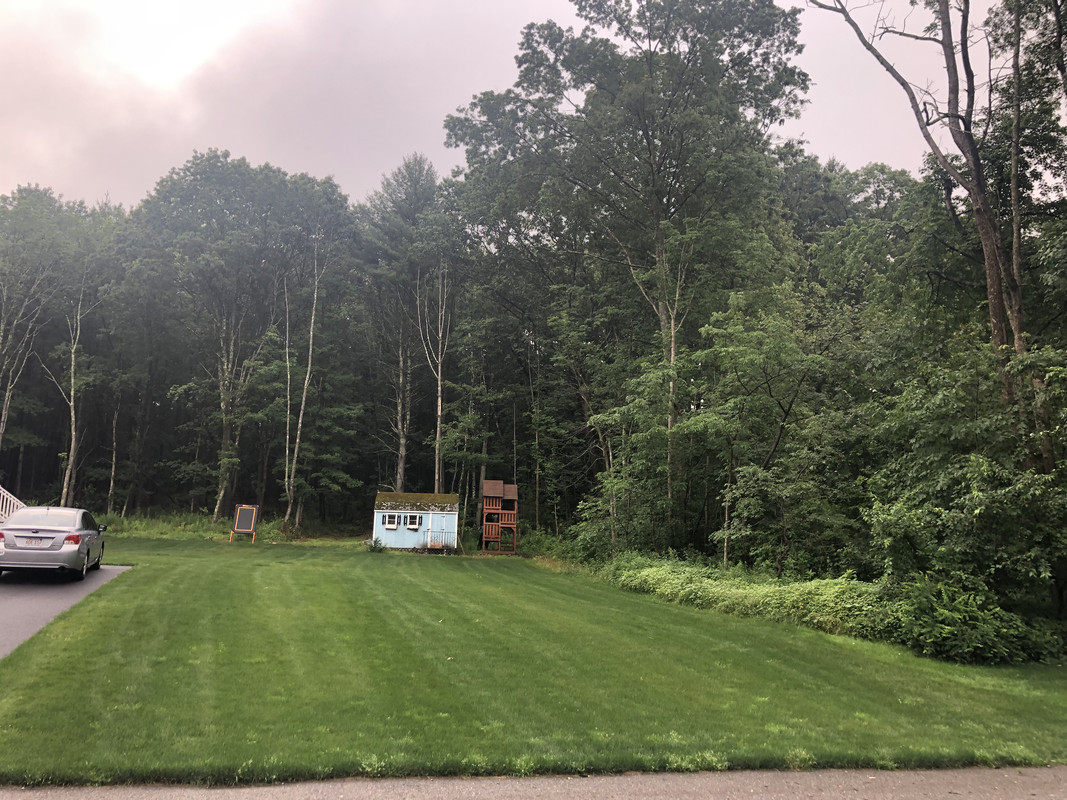 E256208F-BE31-4D39-9170-FFAE86795BE6