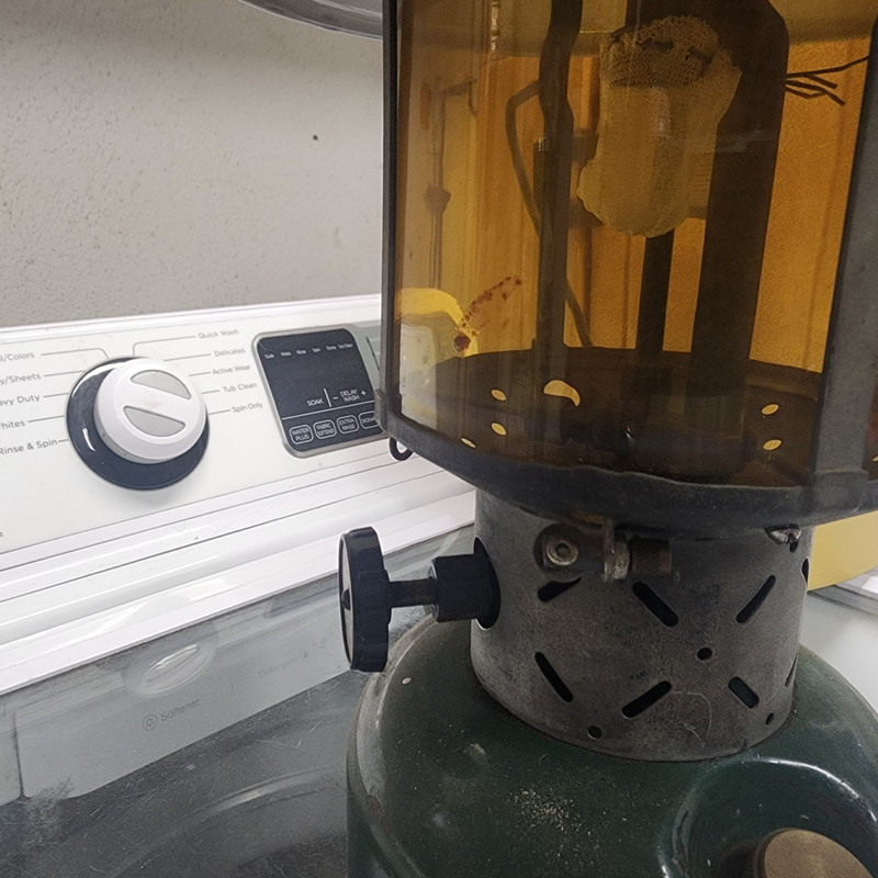 received_347216924915214