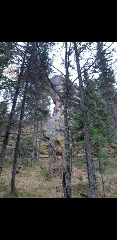 Screenshot_20221017-043133_WhatsApp