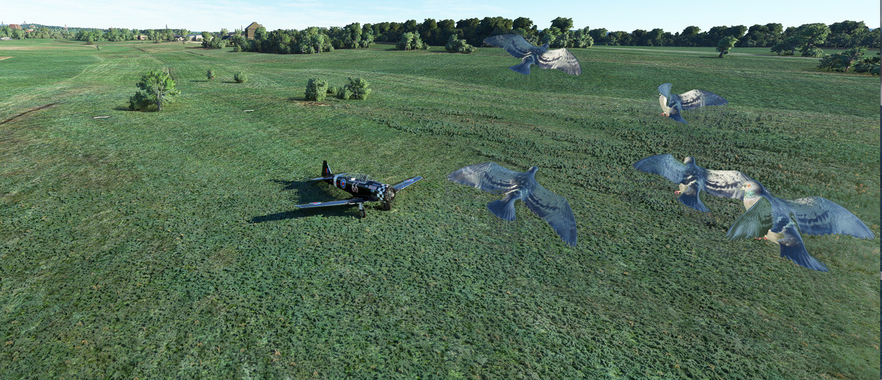 T-6-5.jpg