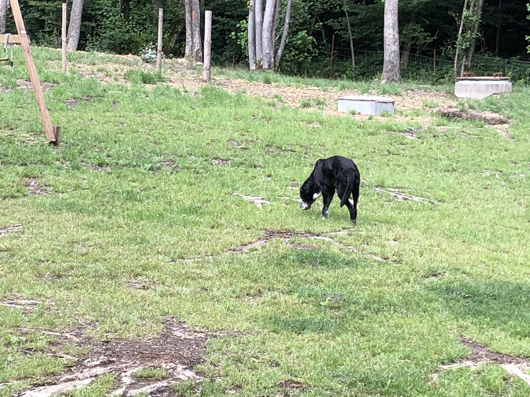 6E1C9F5F-06B1-4C9B-8CFB-55A81863D306