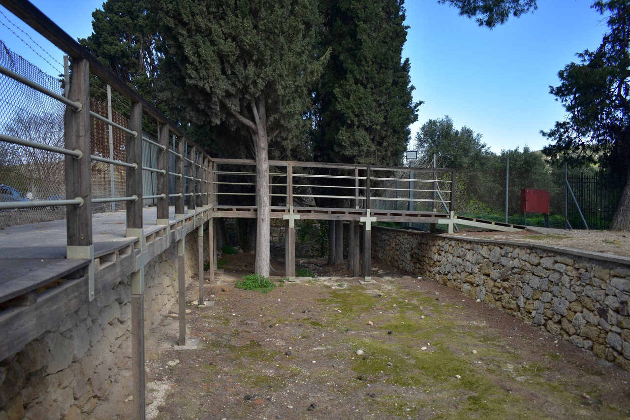 Το ανάκτορο της Κνωσσού (115)