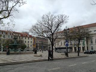 Lisboa: día completo dedicado a la ciudad - Portugal: Oporto - Lisboa - Sintra (15)