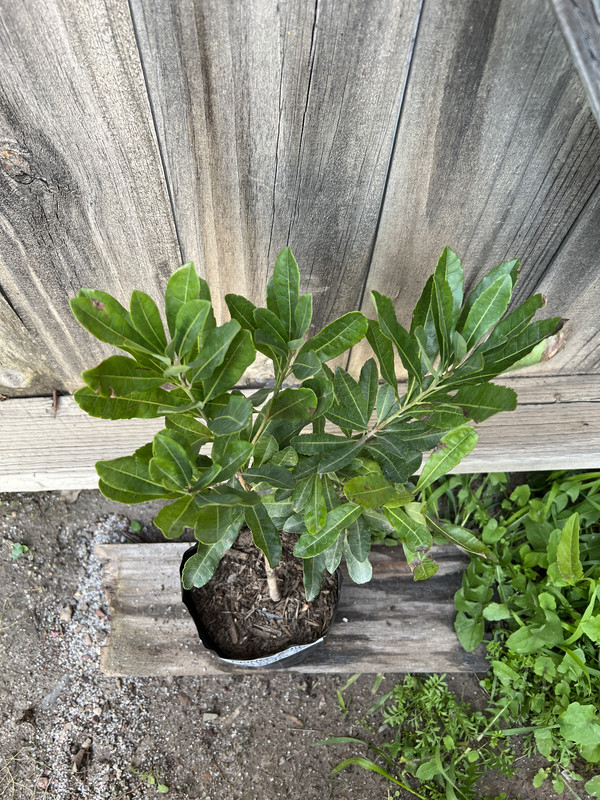 60393EF7-1AAE-4082-B15C-B23850F44916