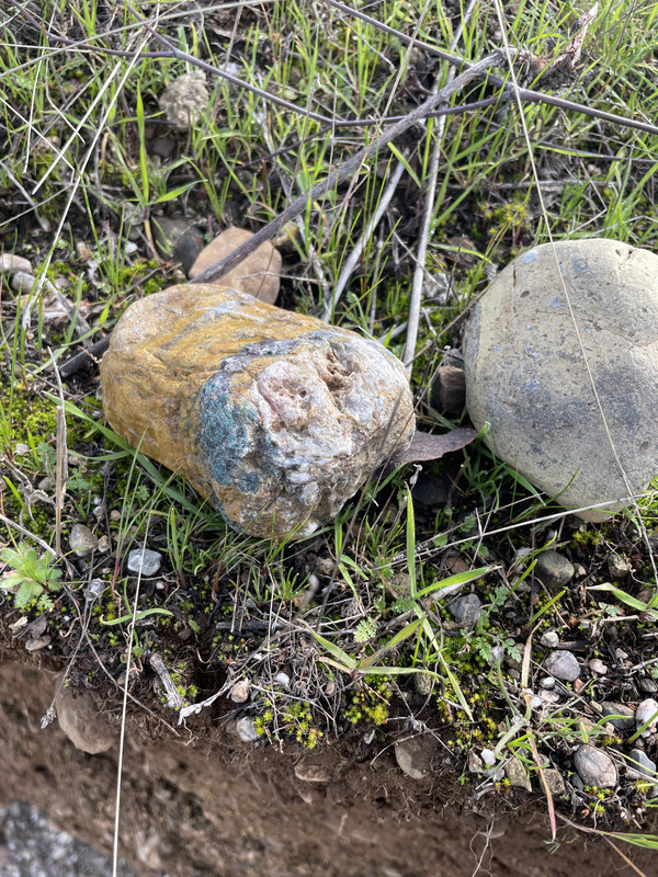 13890899-C761-42FC-AB85-F8DEFD8ADCC2