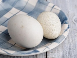 Куриные яйца не повышают уровень холестерина: важно только правильно их готовить