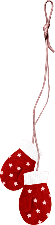 Christmasswishoffairydngloves