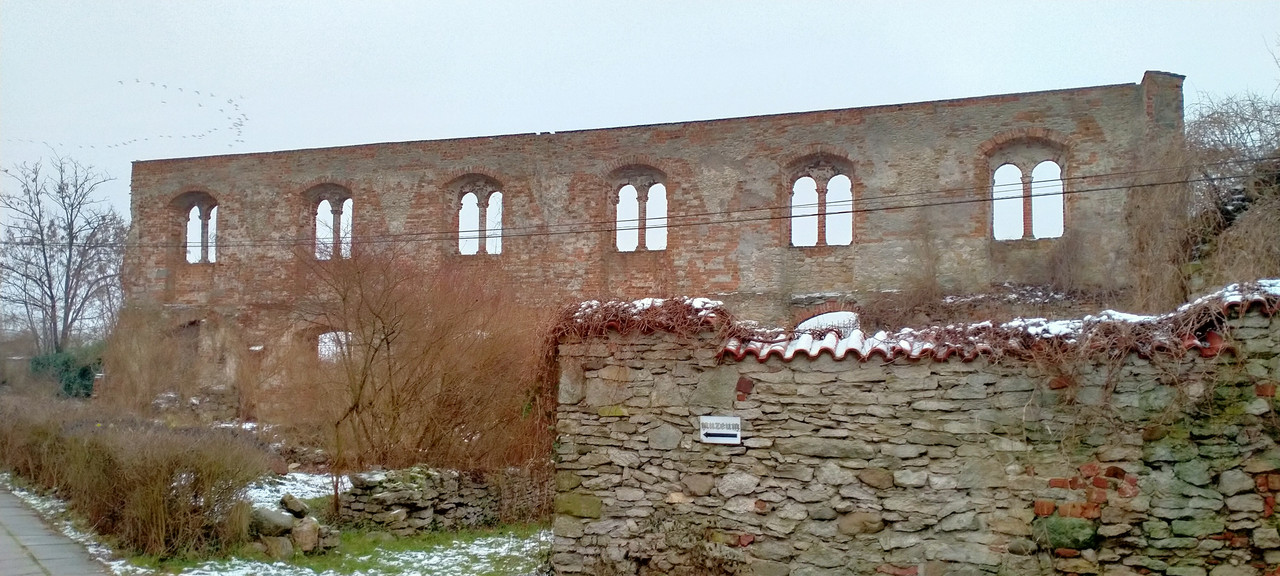 005 - IMG20210109153217