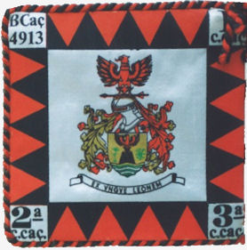 BCac4913