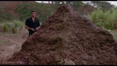 8B136CA5-BE95-4214-8EF0-8087B82039C5