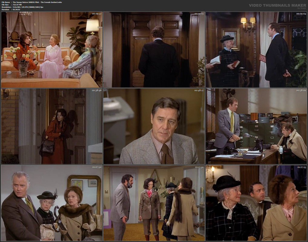 The Snoop Sisters S00E01 Pilot - The Female Instinct.mkv