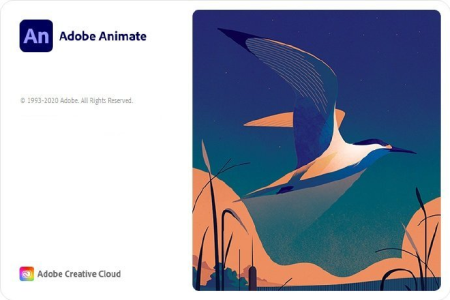 Adobe Animate 2021 v21.0.1.37179 (x64) Multilingual