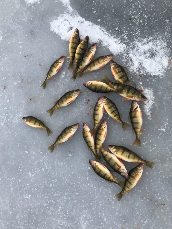 984D3DC9-397E-4EAB-BC0F-FC19AC7A2224