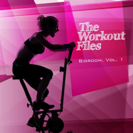 VA - The Workout Files - Bigroom Vol 1 (2023)