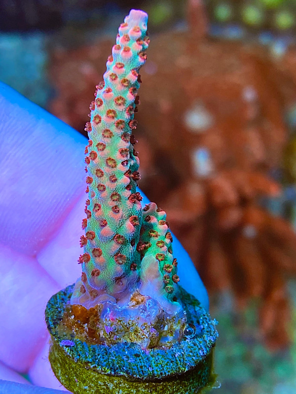 7298B1F4-C500-4CAC-9CFB-D54556908F06