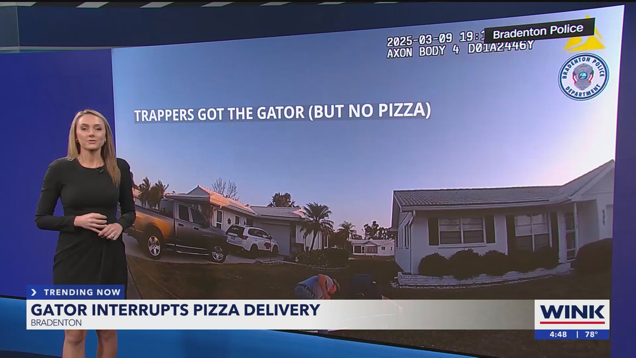 03.13 - 20.00.00 - WINK News at 4pm  ᴺᵉʷ. Local and regional news..ts_snapshot_00.49.11.006
