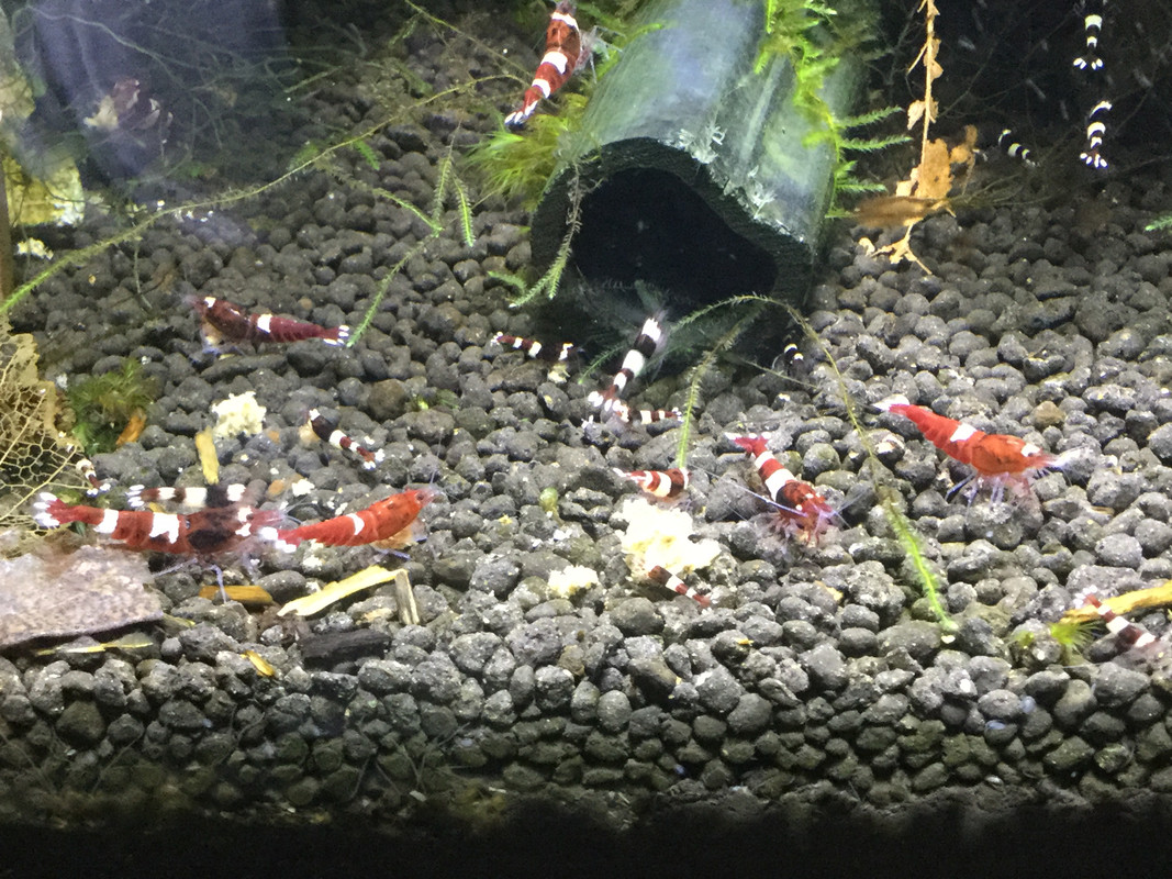 09F2A3D8-923A-4D2A-BC4B-5CE2E3750EFC