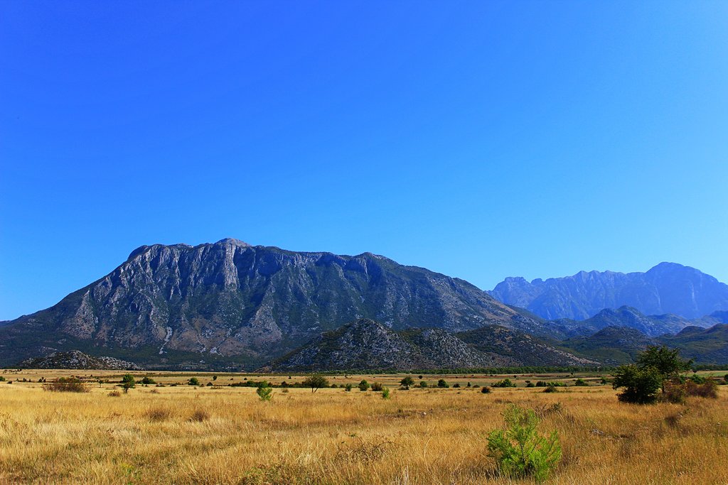 IMG-7032a.jpg