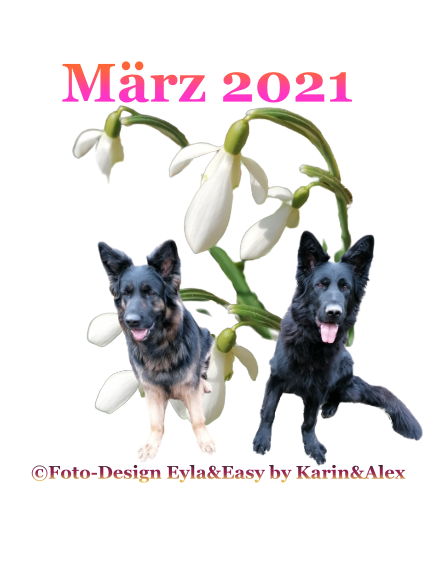 05-M-rz-2021