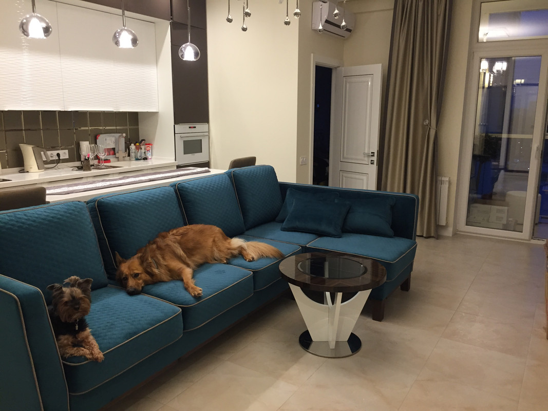 BA0863CF-0C41-4DA2-805E-23D2EBED83C7