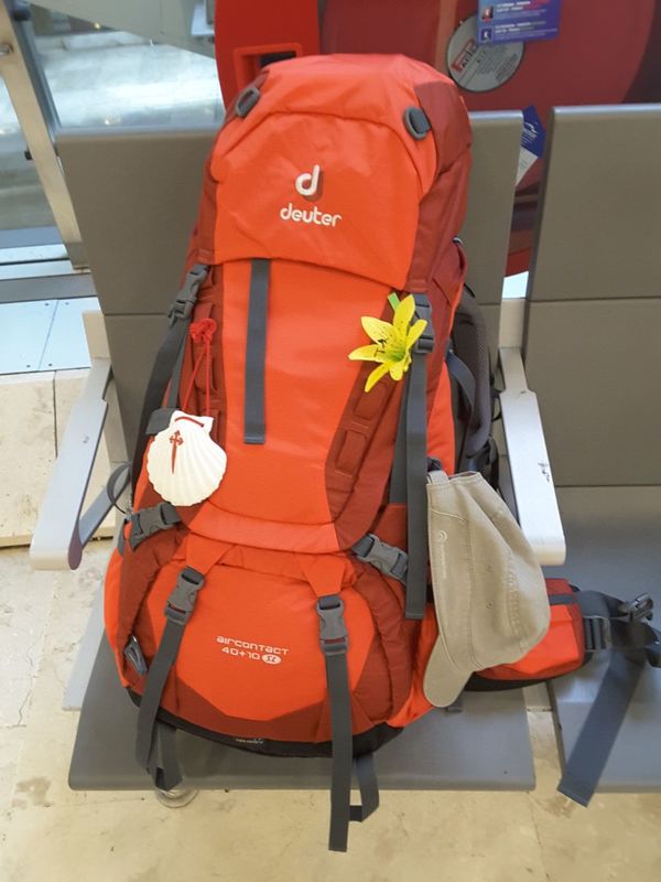 IMG-20170513-WA0001