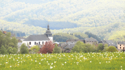 Beau-paysage-belge.png
