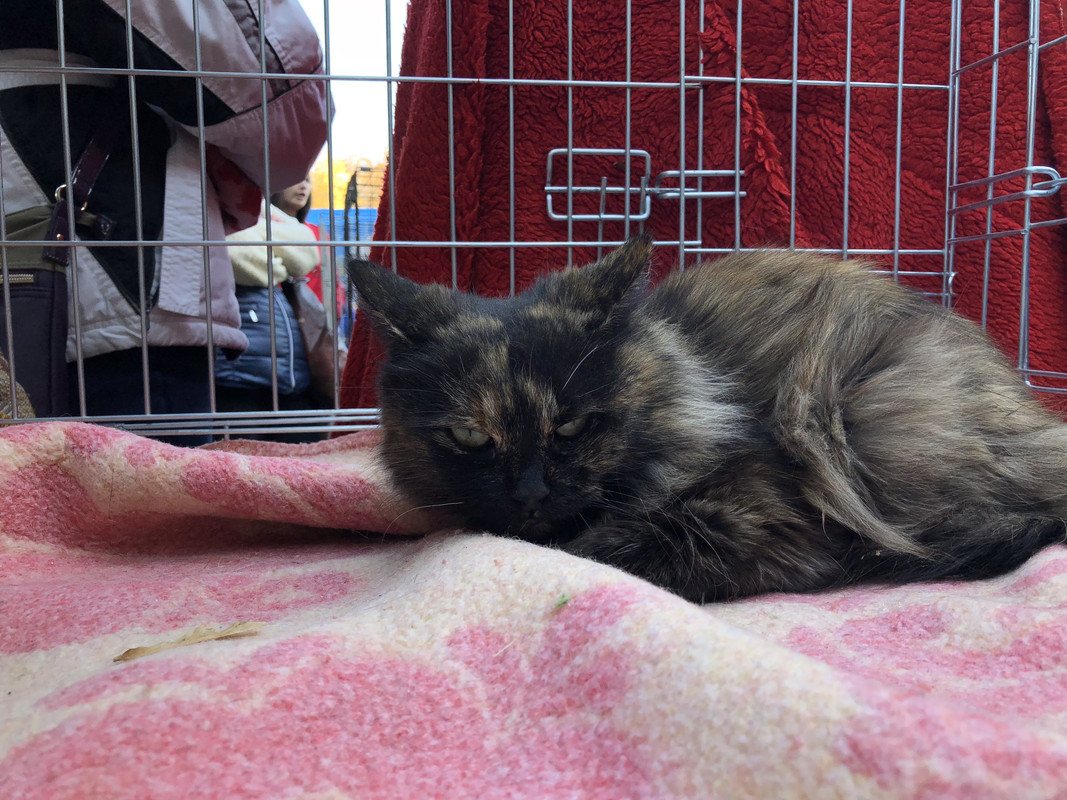 A59AE7CB-02E7-4EED-826F-DE4A92004774