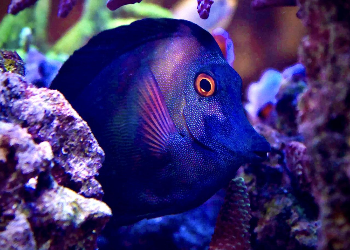 3C37F08D-4CA8-4CAE-833E-E22D7D2DE408