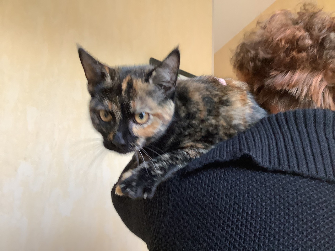 1BBBB30D-DF8F-4E31-8E74-EB5F6CE28FF8