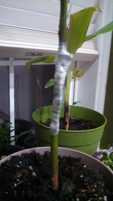 IMG_20130405_221756_523