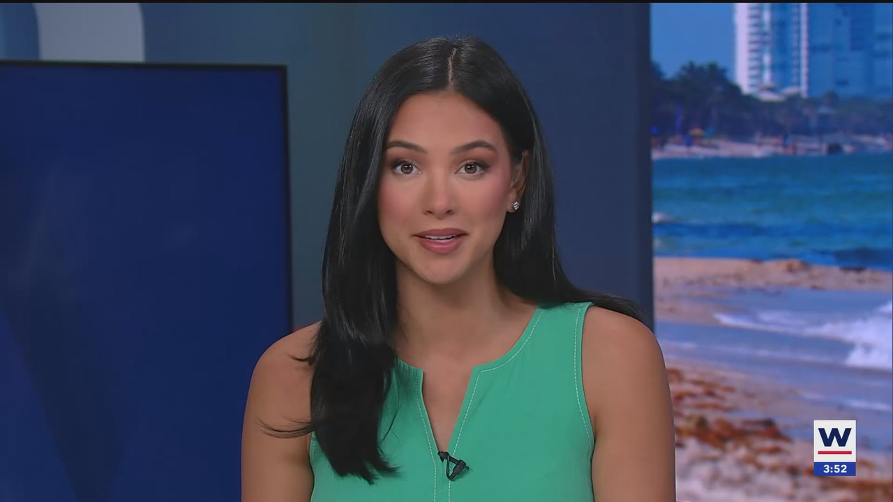 07.02 - 20.00.00 - WINK News at 3pm  ᴺᵉʷ. No Description Info.ts_snapshot_00.54.08.653