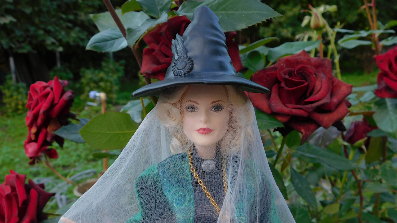 Дачное и  к Хелл сентябрь 2023 084