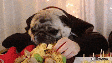 1-GIF-207571-eres-mas-ansias-que-un-perro-comiendo-espaguetis.gif