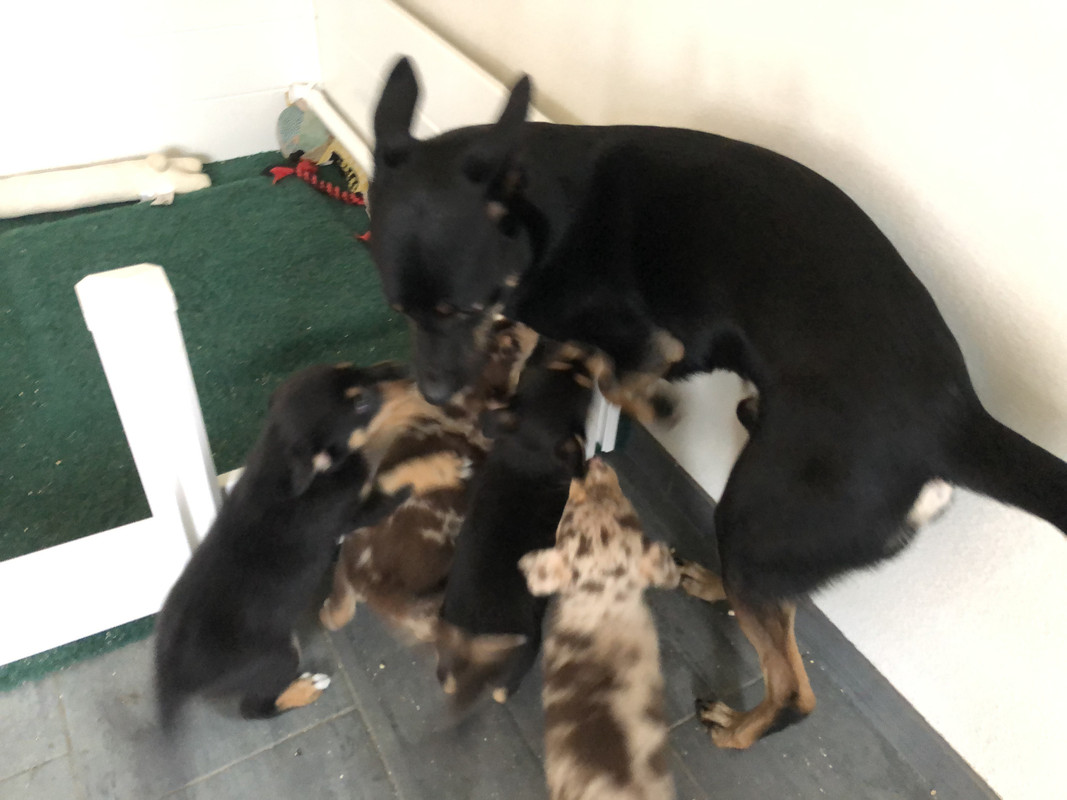 73EF261F-B749-4642-9AAC-B4061674963C