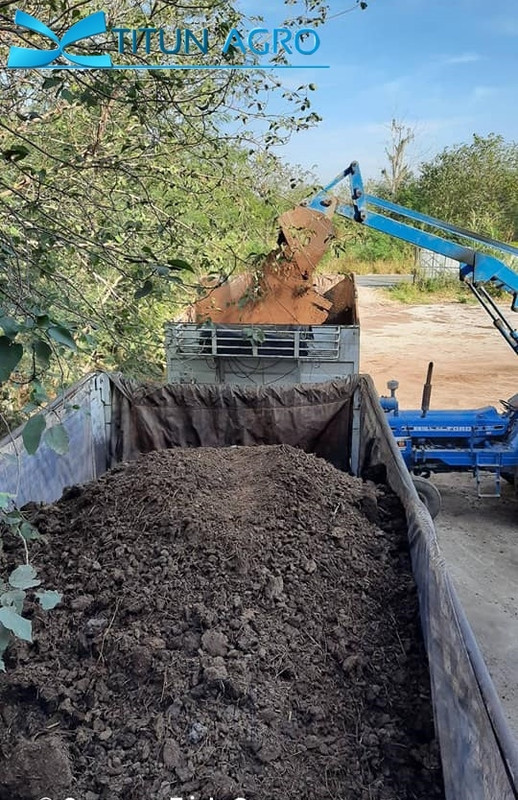 ขี้วัว_๒๐๐๙๒๕_7