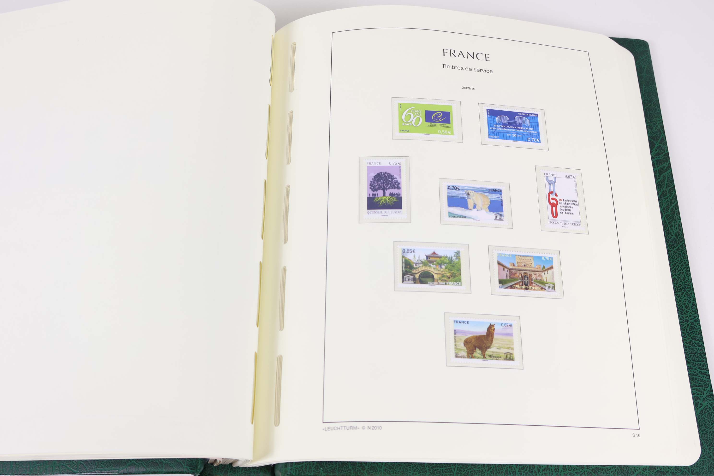 IMG-4774