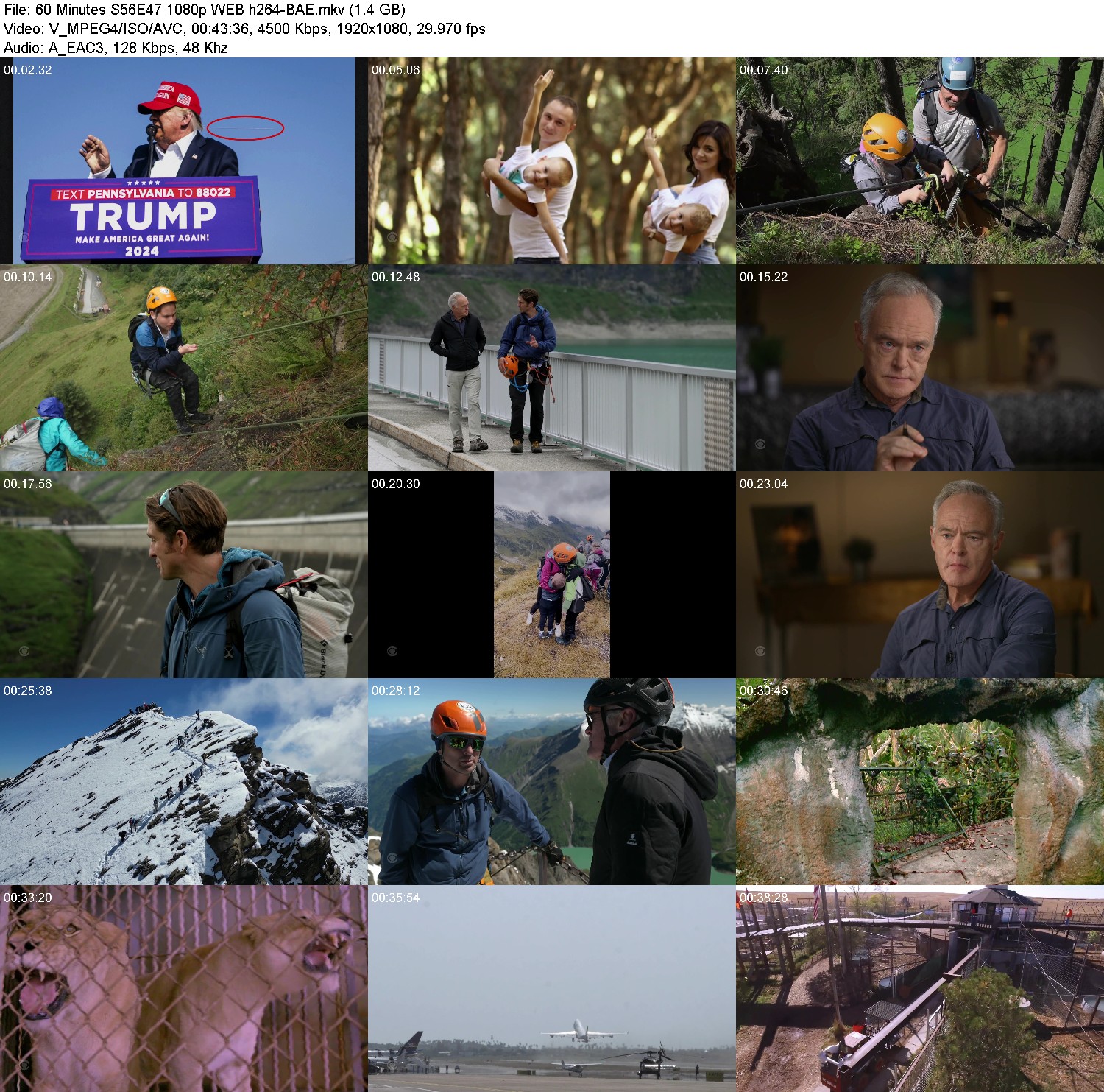 [Image: 03g9icaqhts6.jpg]