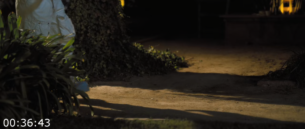 [Image: 7szoei4sg56f.png]