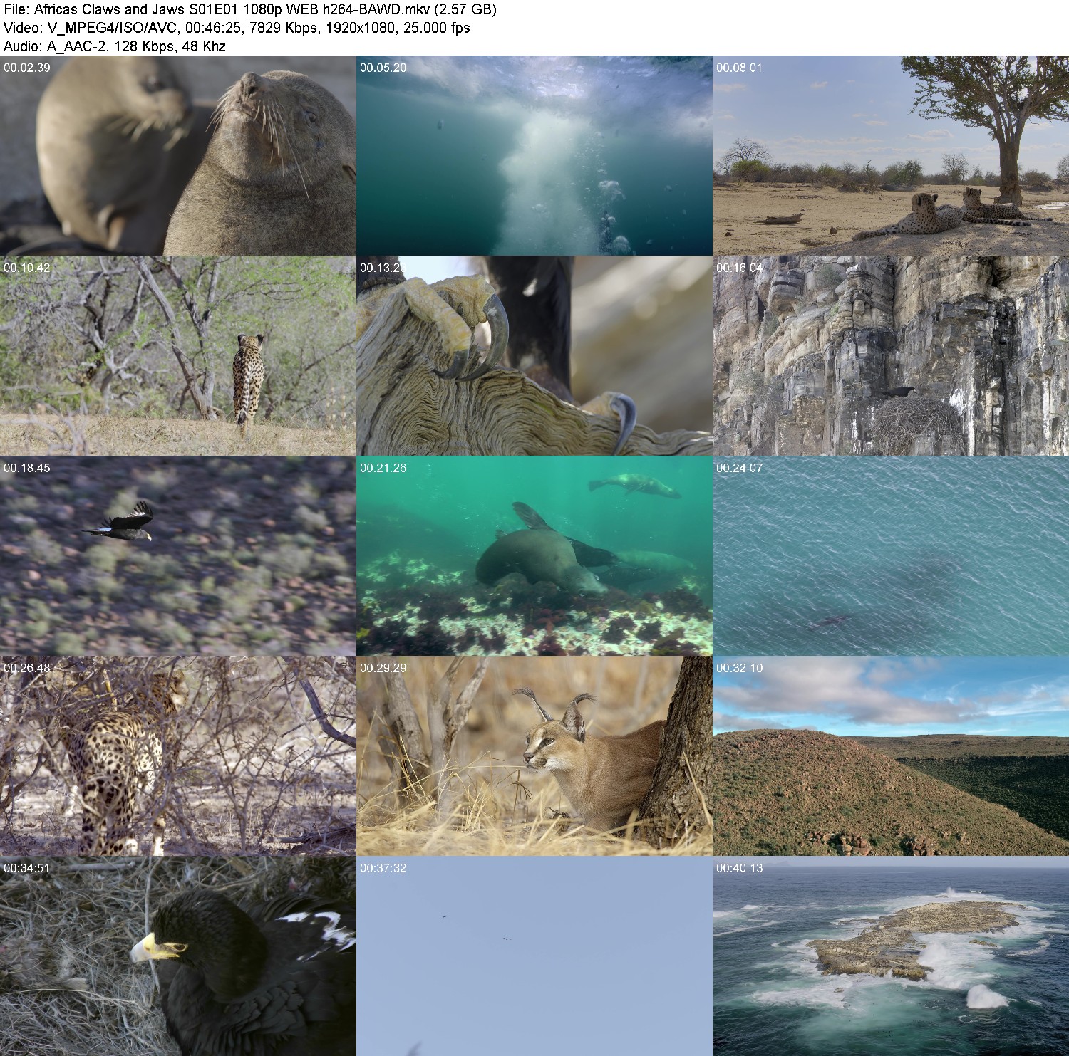 [Image: ns9l4sw-las67.jpg]