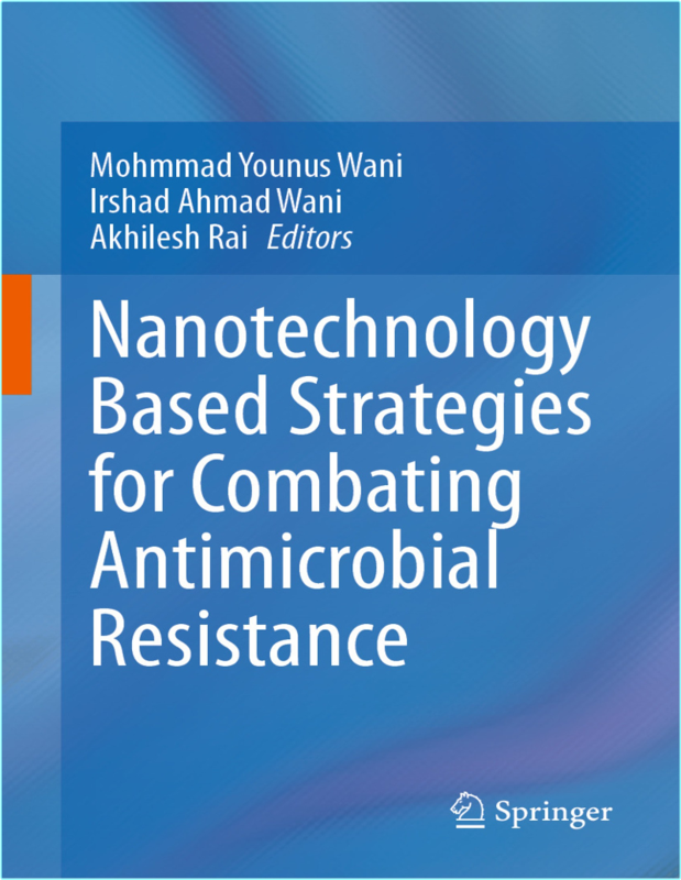 Wani M Nanotechnology Based Strategies Combating Antimicrobial Resistance 2024