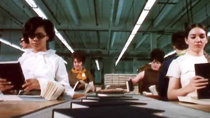 [Image: x0iew5e7rl5l.jpg]