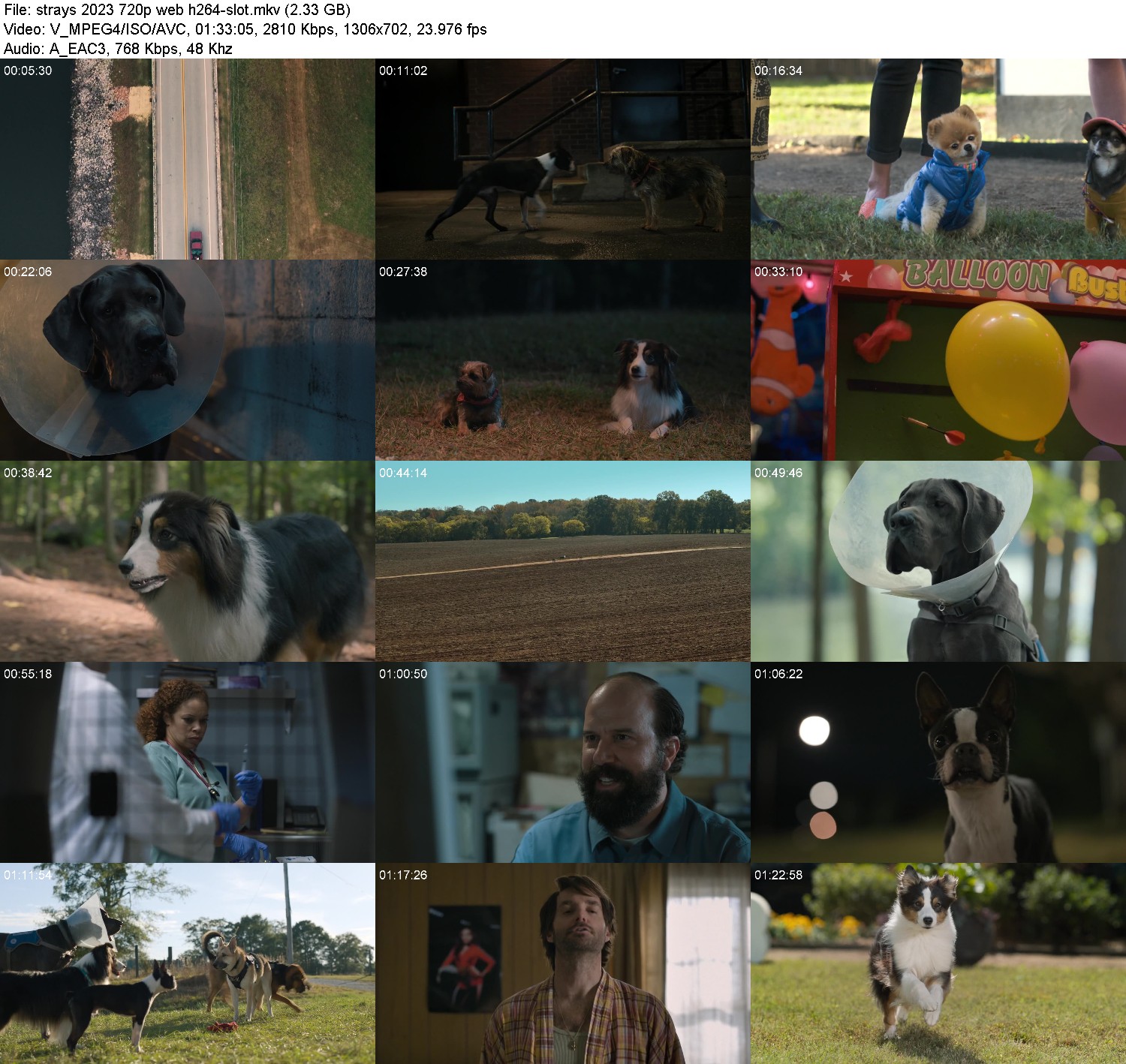 [Image: 3h7duihe5jm9.jpg]