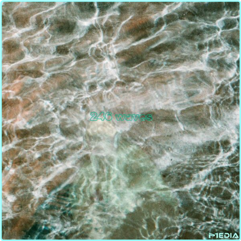 p19dtnf5gm4x.png