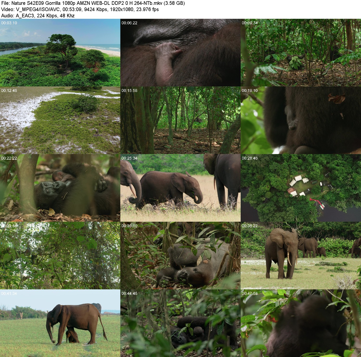 [Image: 4fy09te5tuzb.jpg]