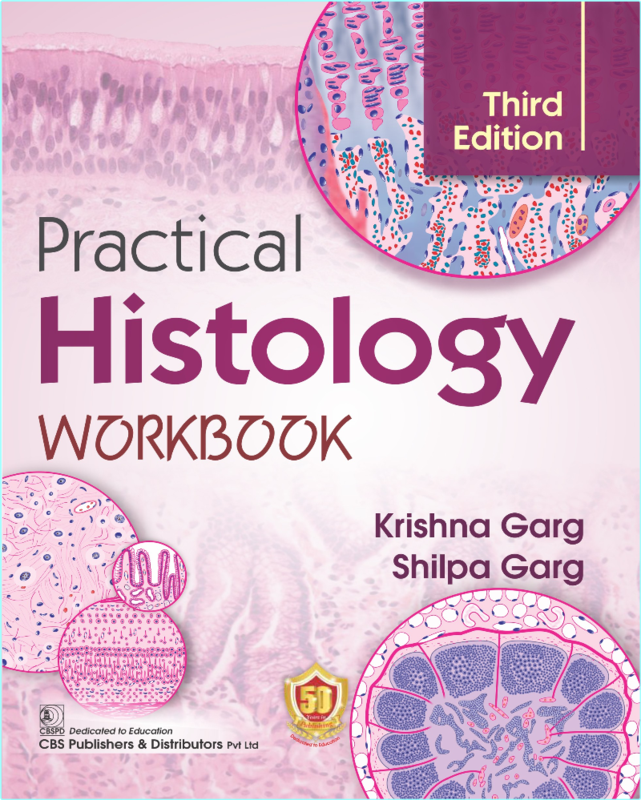 [Image: etu71w0kkkv0.png]